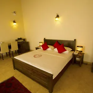 Отель Ellen's Place ***